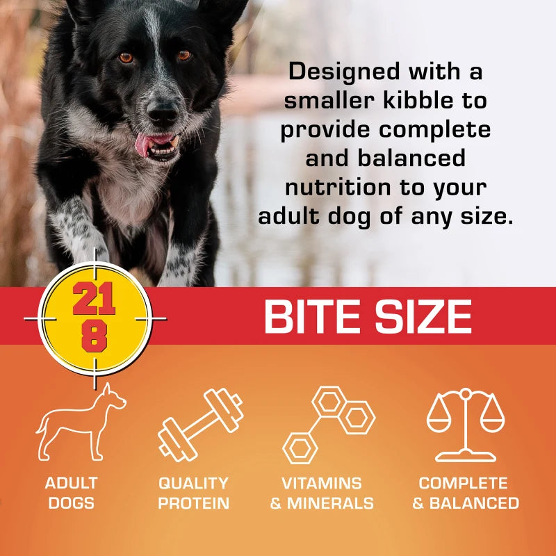 Black and white dog running beside Sportmix Bite Size features: adult dogs, quality protein, vitamins and minerals, complete and balanced