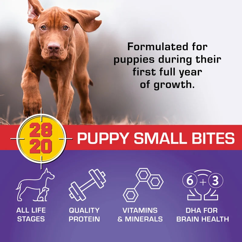 Puppy feature graphic: Brown puppy running beside Sportmix Puppy Small Bites graphic highlighting protein, vitamins, minerals, and DHA