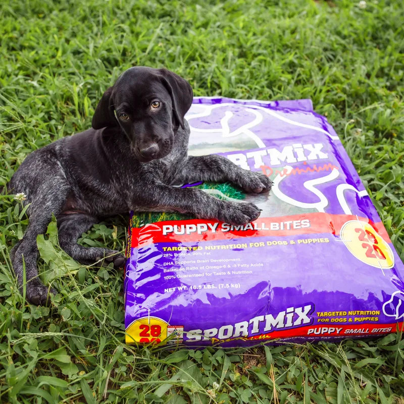 Puppy with bag: Black puppy lying on grass beside a purple bag of Sportmix Puppy Small Bites dog food
