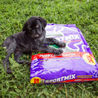 Puppy with bag: Black puppy lying on grass beside a purple bag of Sportmix Puppy Small Bites dog food
