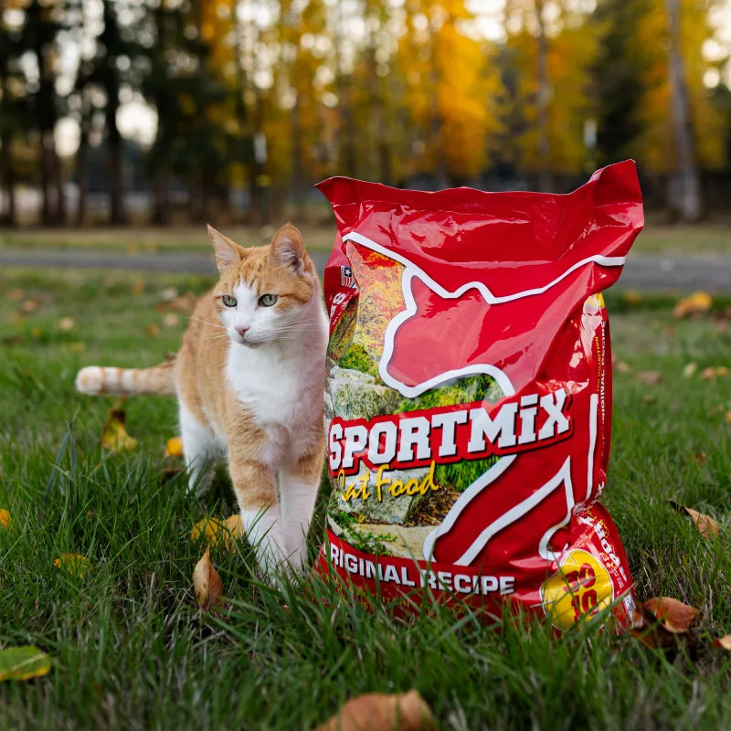 Orange and white cat standing on grass beside a red bag of Sportmix Original Recipe cat food
