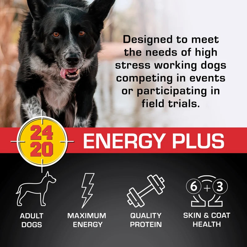  A black and white dog running, with text describing Sportmix Energy Plus as designed for high-stress working dogs competing in events or field trials, plus icons for adult dogs, maximum energy, quality protein, and skin and coat health