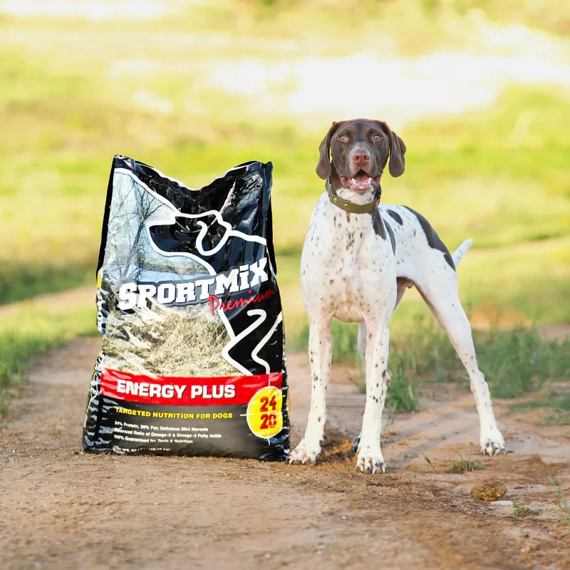 A German shorthaired pointer standing beside a bag of Sportmix Energy Plus dog food on a dirt path outdoors