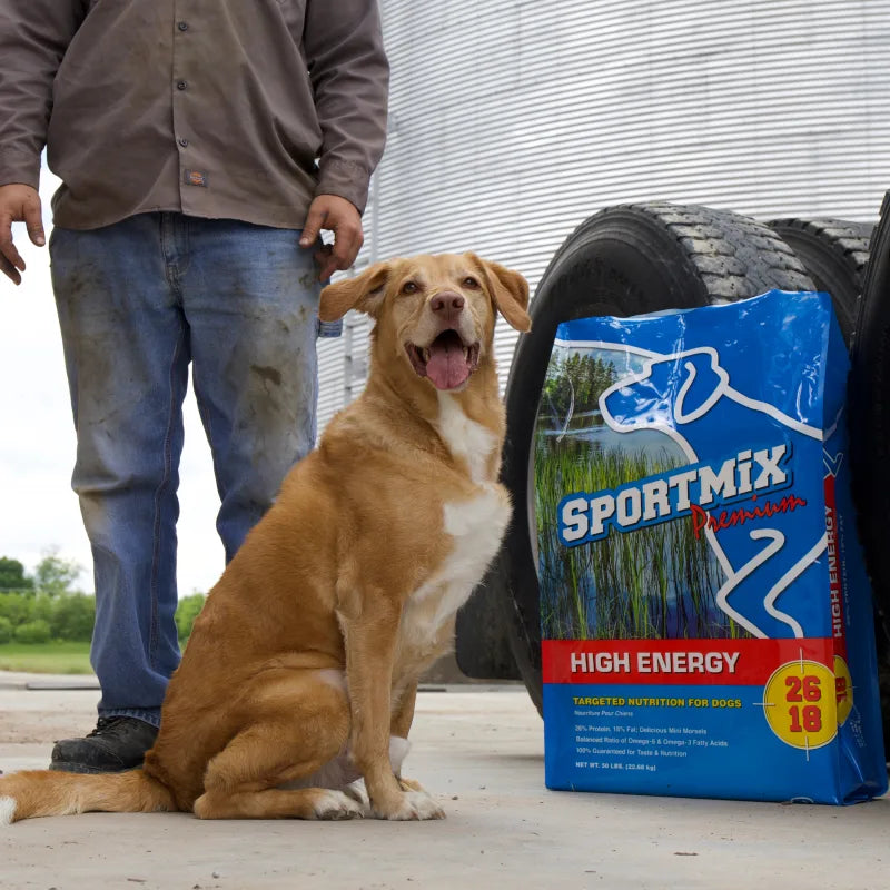 A tan dog sitting beside a man on concrete, next to a blue Sportmix High Energy 26/18 bag leaning against a large tire in front of a grain bin.