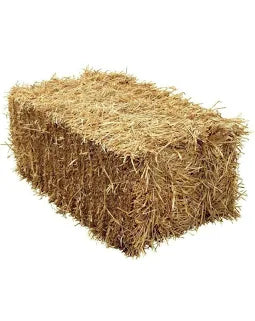 Rectangular bale of golden wheat straw on a white background