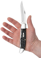 Case buffalo horn Folding Hunter held in a hand