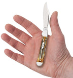 Case 6.5 BoneStag Mini CopperLock knife held in a hand with Clip blade open