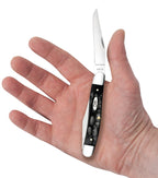 Case Jigged Buffalo Horn Muskrat knife held in a hand with one Clip blade open